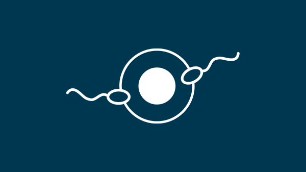 ヒト絨毛性ゴナドトロピン (βhCG)