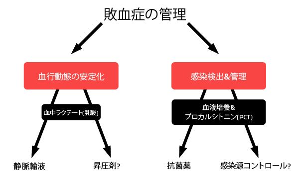 敗血症の管理(PCT･ラクテート)